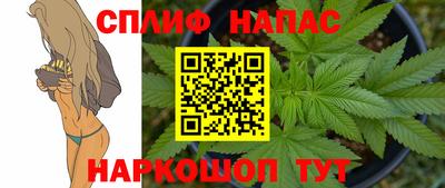 шишки Гусиноозёрск