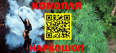 шишки Гусиноозёрск