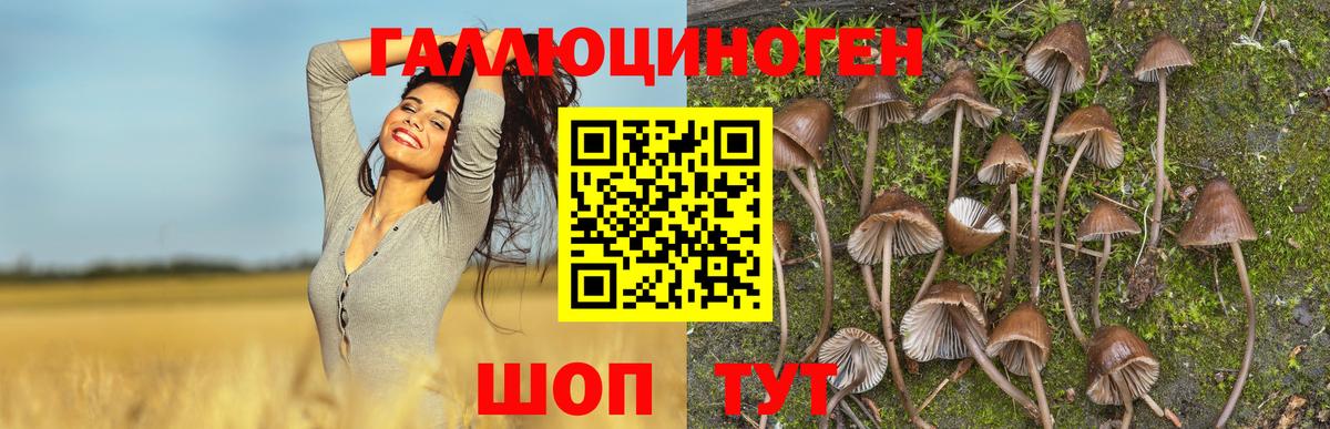 Евпатория  Галлюциногенные грибы GOLDEN TEACHER  Вход с VPN 